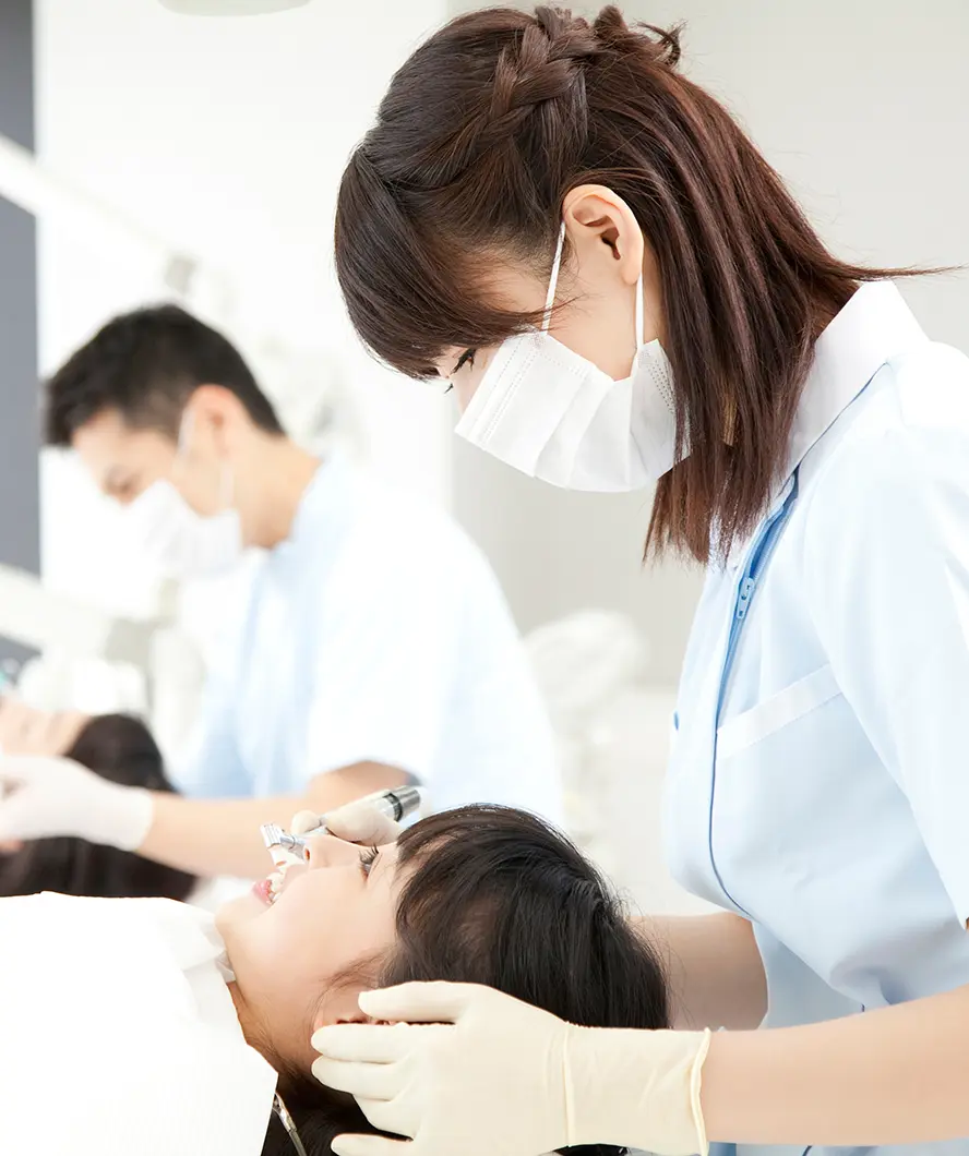 タイトルが入ります