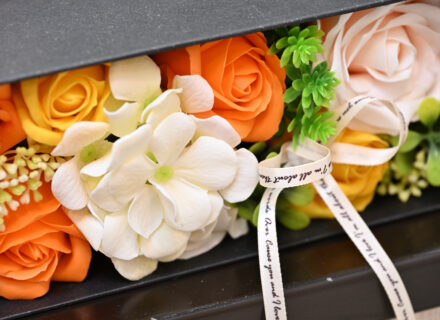 院長学会参加のため不在のお知らせ